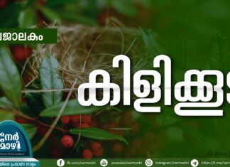 കിളിക്കൂട്