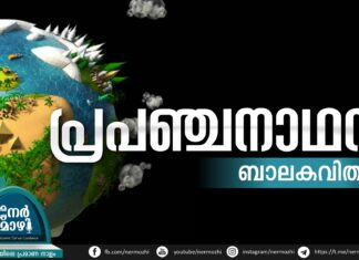 പ്രപഞ്ചനാഥൻ – ബാലകവിത